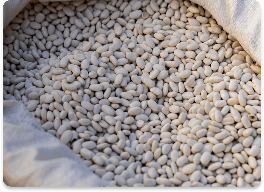 Hulled Sesame Seeds
